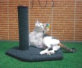 RASCADOR PARA GATOS VERTICAL
